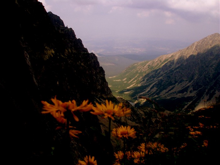 Tatry