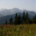 Tatry